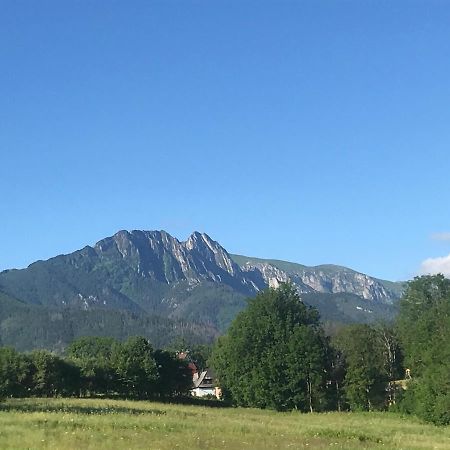 Camping Zakopane Willa Skoczek Oferta Nie Dotyczy Noclegu W Pokoju ,W Namiocie Reczniki Woda Mineralna , Koldra Poduszki Lub Spiwory Dış mekan fotoğraf