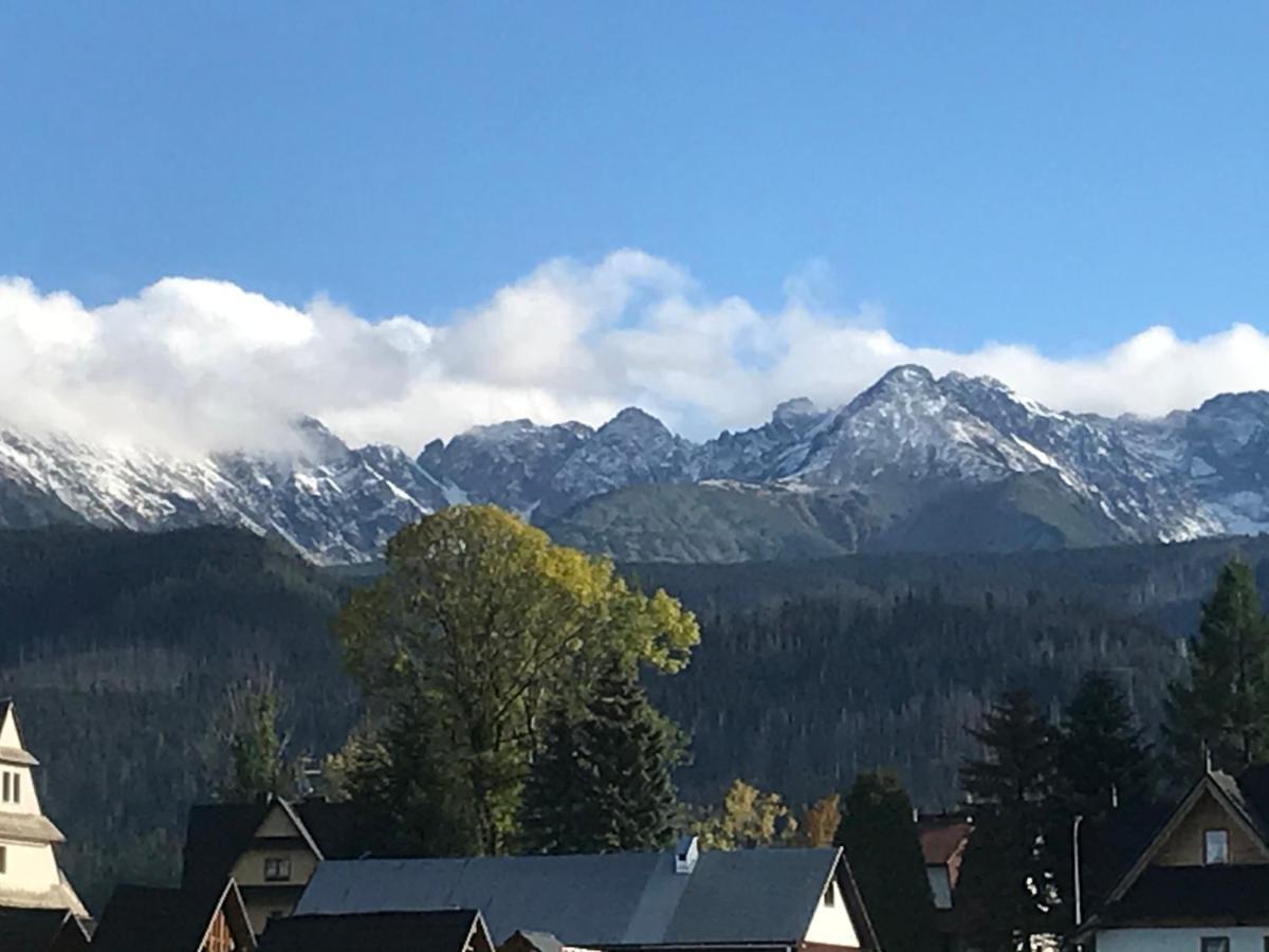 Camping Zakopane Willa Skoczek Oferta Nie Dotyczy Noclegu W Pokoju ,W Namiocie Reczniki Woda Mineralna , Koldra Poduszki Lub Spiwory Dış mekan fotoğraf