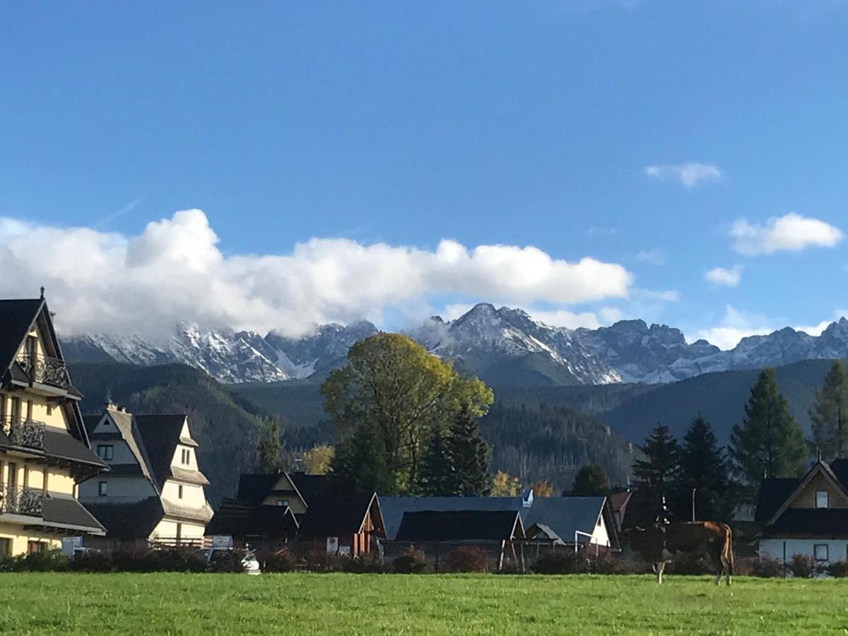 Camping Zakopane Willa Skoczek Oferta Nie Dotyczy Noclegu W Pokoju ,W Namiocie Reczniki Woda Mineralna , Koldra Poduszki Lub Spiwory Dış mekan fotoğraf