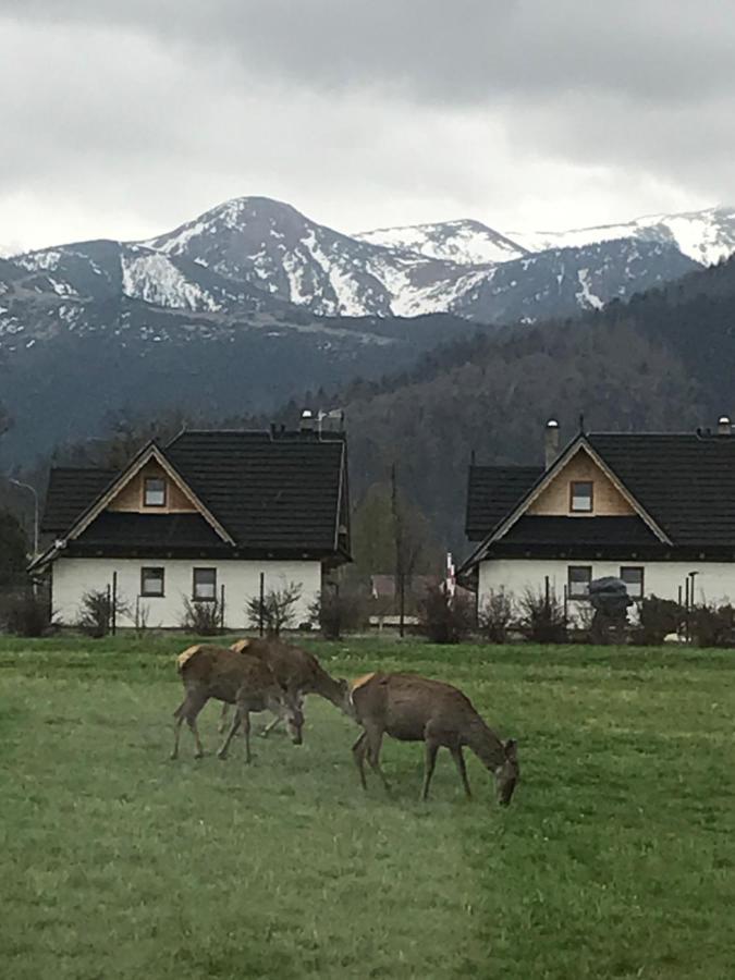 Camping Zakopane Willa Skoczek Oferta Nie Dotyczy Noclegu W Pokoju ,W Namiocie Reczniki Woda Mineralna , Koldra Poduszki Lub Spiwory Dış mekan fotoğraf