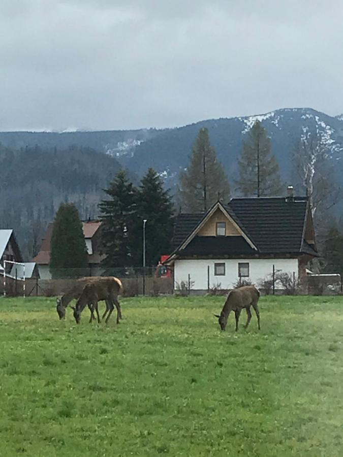 Camping Zakopane Willa Skoczek Oferta Nie Dotyczy Noclegu W Pokoju ,W Namiocie Reczniki Woda Mineralna , Koldra Poduszki Lub Spiwory Dış mekan fotoğraf