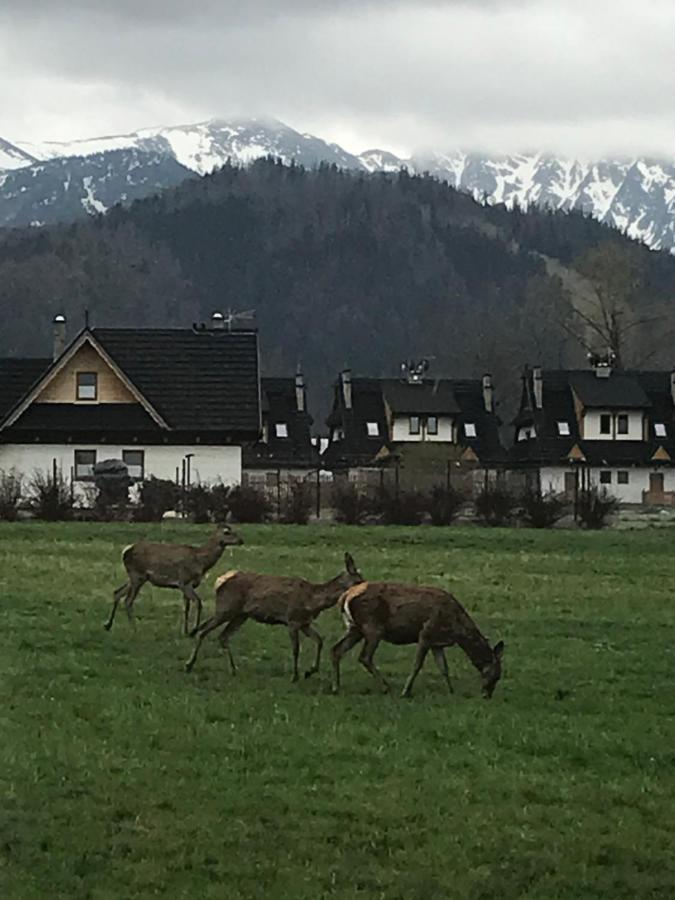 Camping Zakopane Willa Skoczek Oferta Nie Dotyczy Noclegu W Pokoju ,W Namiocie Reczniki Woda Mineralna , Koldra Poduszki Lub Spiwory Dış mekan fotoğraf