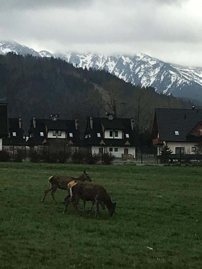 Camping Zakopane Willa Skoczek Oferta Nie Dotyczy Noclegu W Pokoju ,W Namiocie Reczniki Woda Mineralna , Koldra Poduszki Lub Spiwory Dış mekan fotoğraf