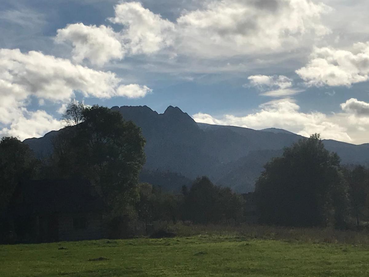 Camping Zakopane Willa Skoczek Oferta Nie Dotyczy Noclegu W Pokoju ,W Namiocie Reczniki Woda Mineralna , Koldra Poduszki Lub Spiwory Dış mekan fotoğraf